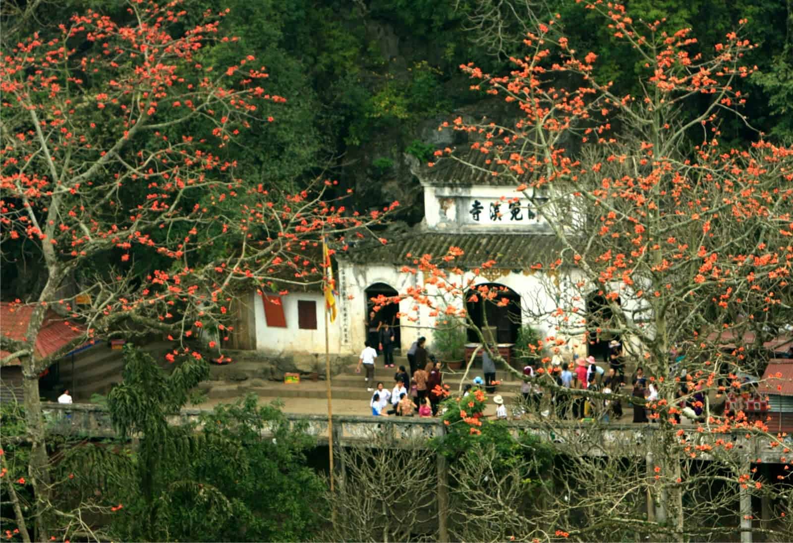 chua hương