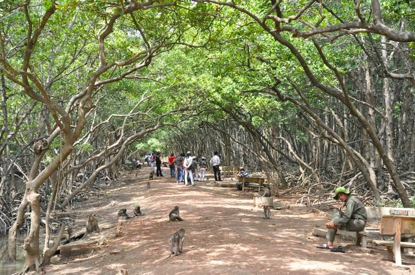 Đảo Khỉ - Cần Giờ