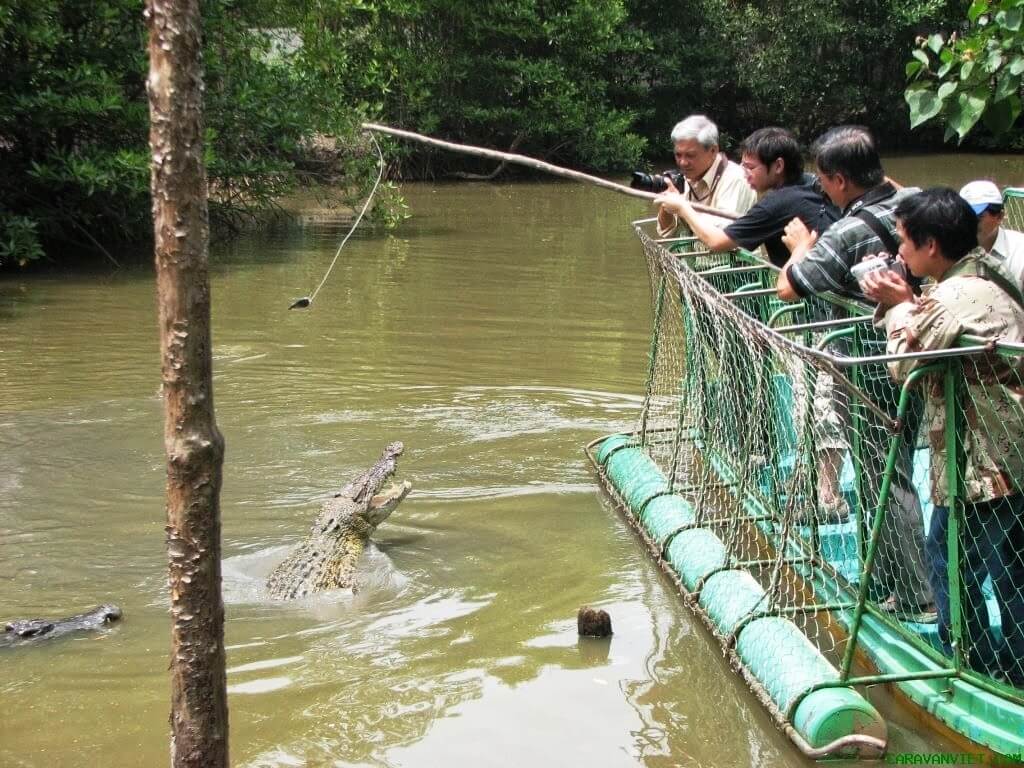trại Cá Sấu - Cần Giờ