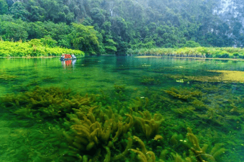 Vào mùa thu, ven dòng nước bao quanh các ngọn núi là mùa hoa súng nở rạng rỡ trên nền trời xanh – nước xanh trong vắt có thể nhìn rỏ rong tảo phía dưới, tạo nên cảnh sắc thiên nhiên tuyệt đẹp