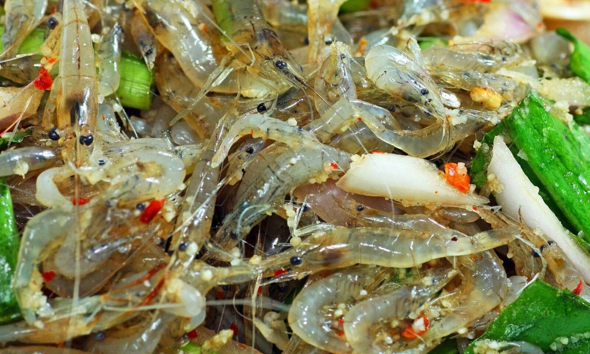 Goong Ten, một món ăn Thái mạo hiểm.