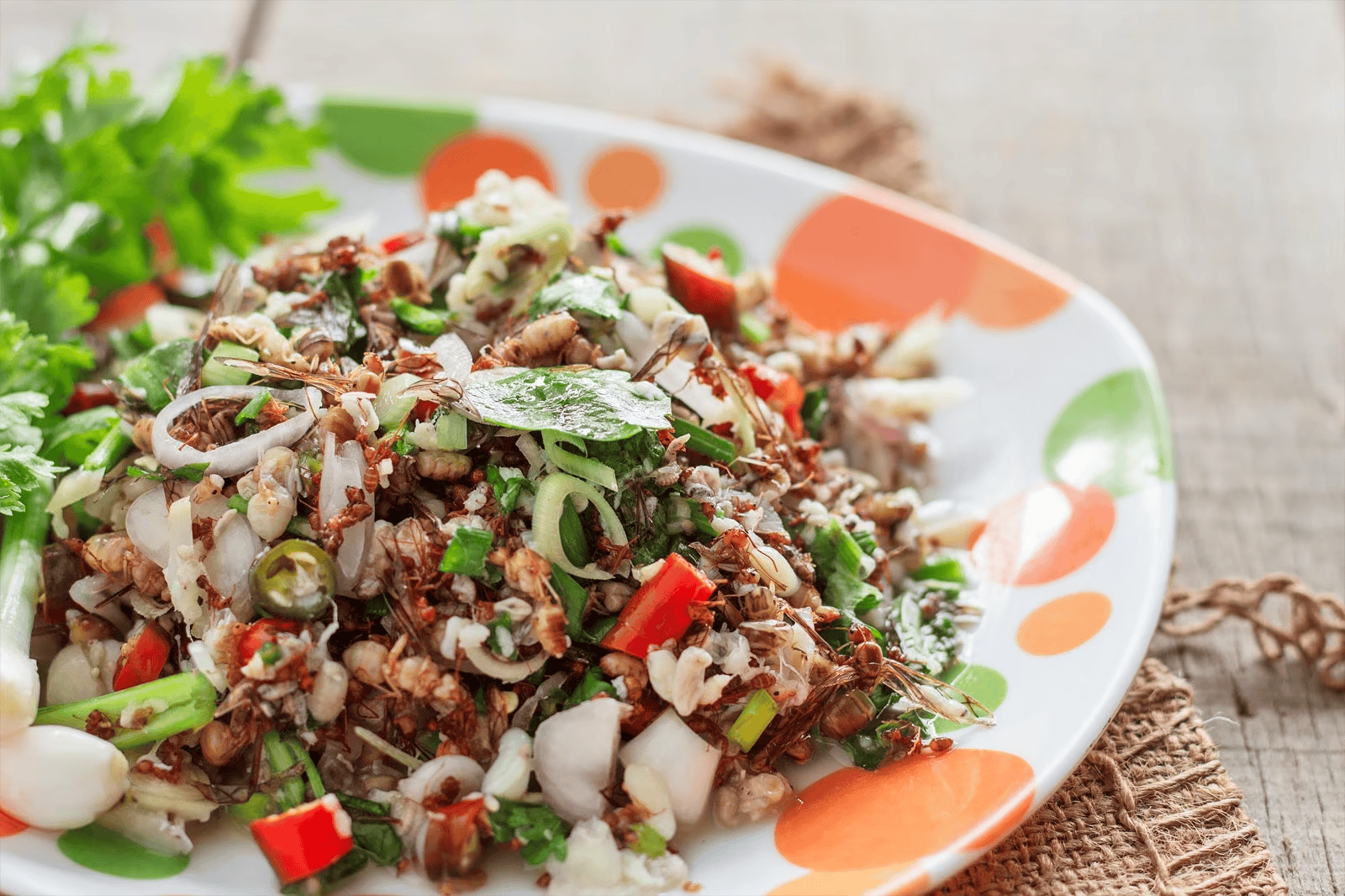 Salad trứng kiến