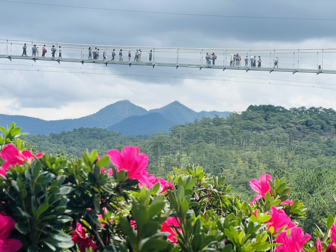 Cầu đáy kính dài 325m ở Đà Lạt sẵn sàng đón khách