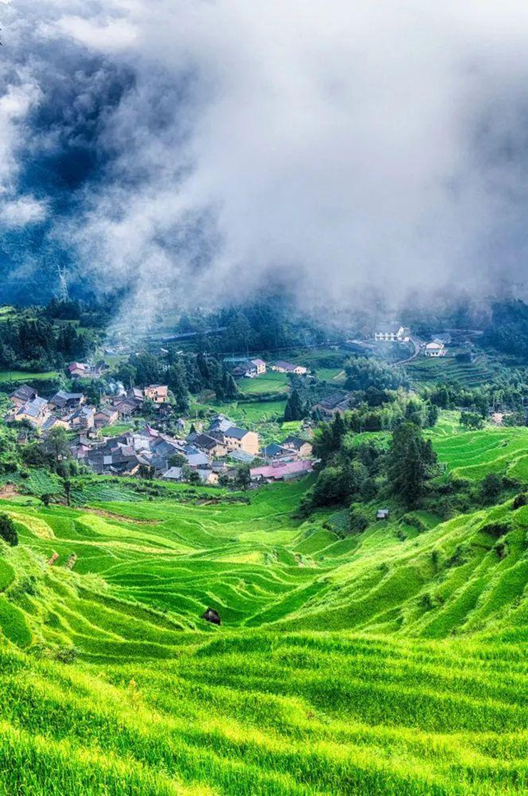 Ruộng bậc thang Yunhe