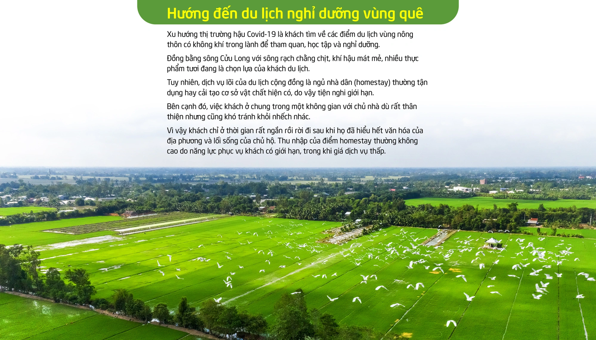 Khách Tây thích khám phá cảnh làng quê miền Tây Nam Bộ