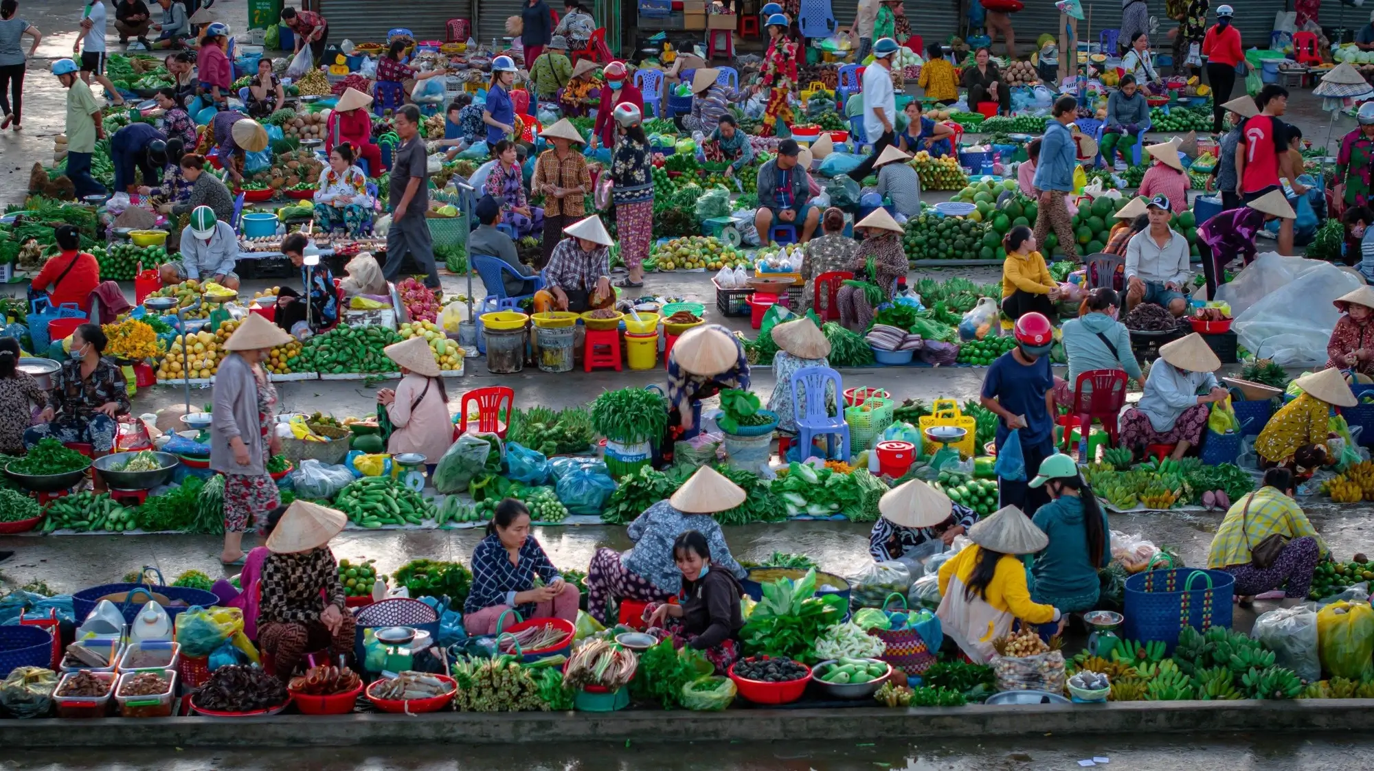 Ánh nắng buổi sớm dịu nhẹ nên mọi người chỉ cần che đầu bằng chiếc nón lá là đủ mát.