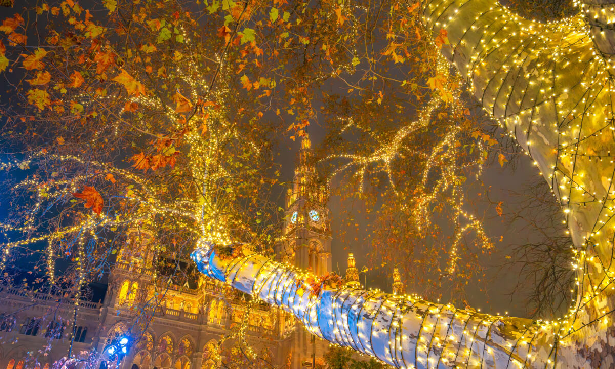 Chợ Wiener Christkindlmarkt được tổ chức ngay trước Tòa thị chính thành phố với hơn 100 gian hàng.