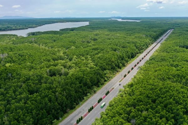 Từ TP. Hồ Chí Minh, du khách có thể di chuyển bằng cả xe bus hoặc phương tiện cá nhân như xe máy, ô tô.
