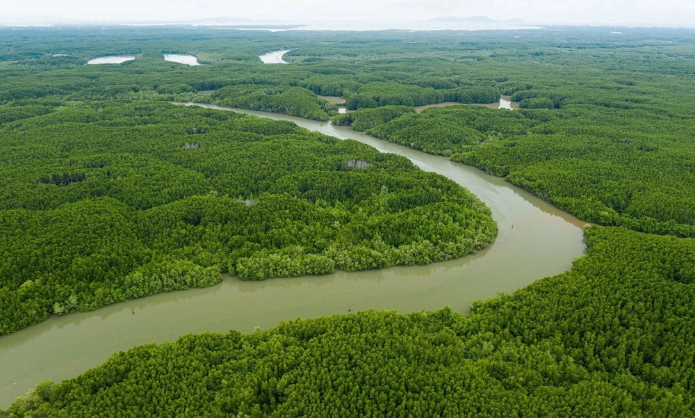 Hệ sinh thái nơi đây là trung gian giữa hệ sinh thái thuỷ vực và hệ sinh thái trên cạn, hệ sinh thái nước ngọt và mặn.