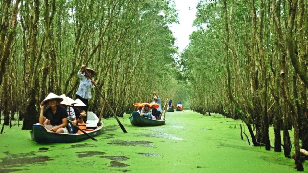 Nơi này có hàng ngàn con dơi đang treo ngược trên cành cây, vì vậy du khách cần phải chú ý giữ yên lặng, tránh nói to hay làm ồn ào để ảnh hưởng đến chúng.