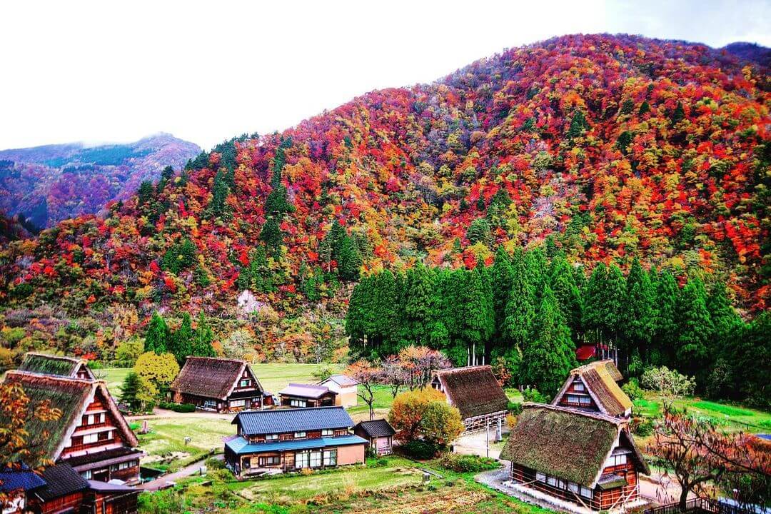 Gokayama cũng là một ngôi làng cổ được UNESCO công nhận là Di sản văn hóa thế giới