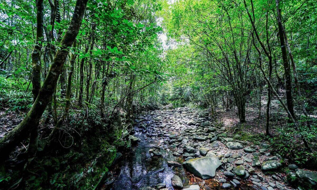 Đoàn anh Dũng đi theo đường Bạch Mã từ thị trấn Phú Lộc lên Khu du lịch Bạch Mã. Từ bãi đỗ xe đường mòn Đỗ Quyên, đoàn đi theo biển chỉ dẫn khoảng 1,5 km, mất khoảng 30 phút để đến đỉnh thác.