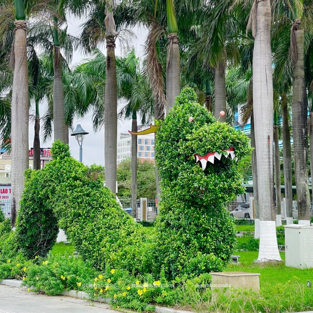 Rồng sâu bướm - Quy Nhơn.