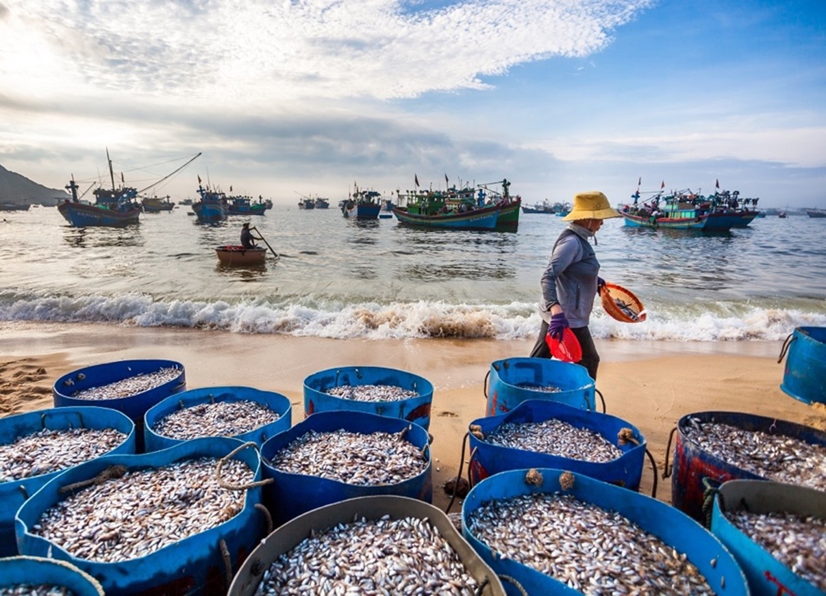 4 bãi biển đáng đi nhất trong mùa hè