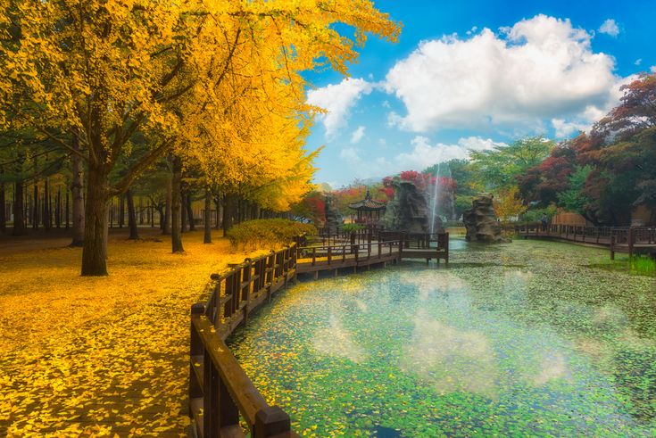 Đảo Nami - Nổi tiếng với những bản màu sắc riêng theo từng mùa.