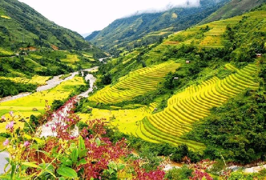 Ảnh Sapa