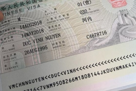 Visa thương mại (visa M)
