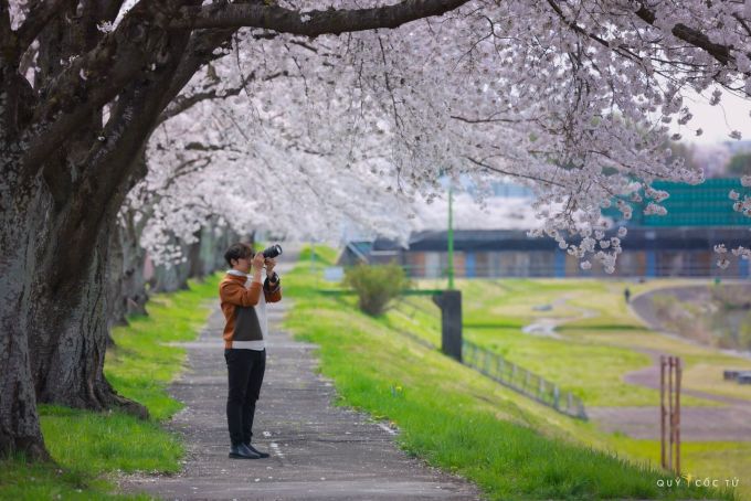 Ngô Trần Hải An trong chuyến đi ngắm hoa anh đào tại Fukushima, Nhật Bản, tháng 4.