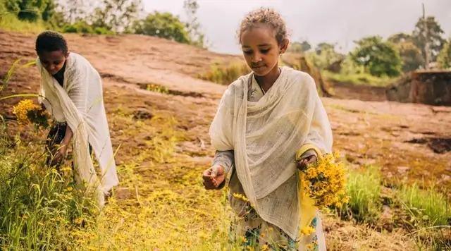 Năm mới ở Ethiopia được tổ chức vào tháng 9, khi loài hoa bản địa Adey Abeba nở rộ.