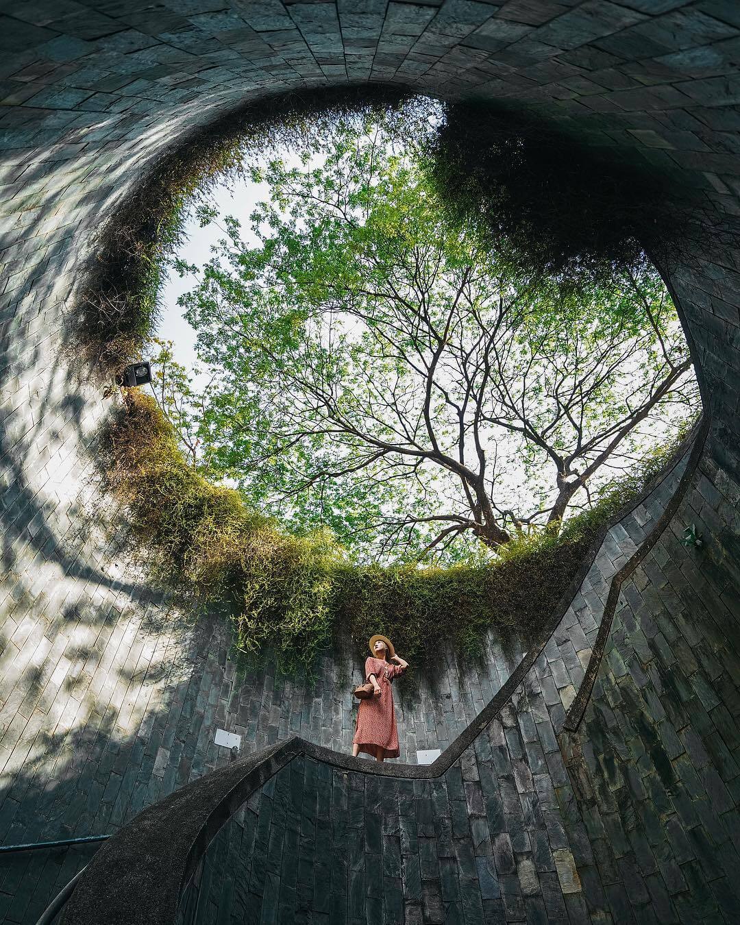 Một điểm chụp ảnh nổi tiếng ở Fort Canning. Ảnh: STB