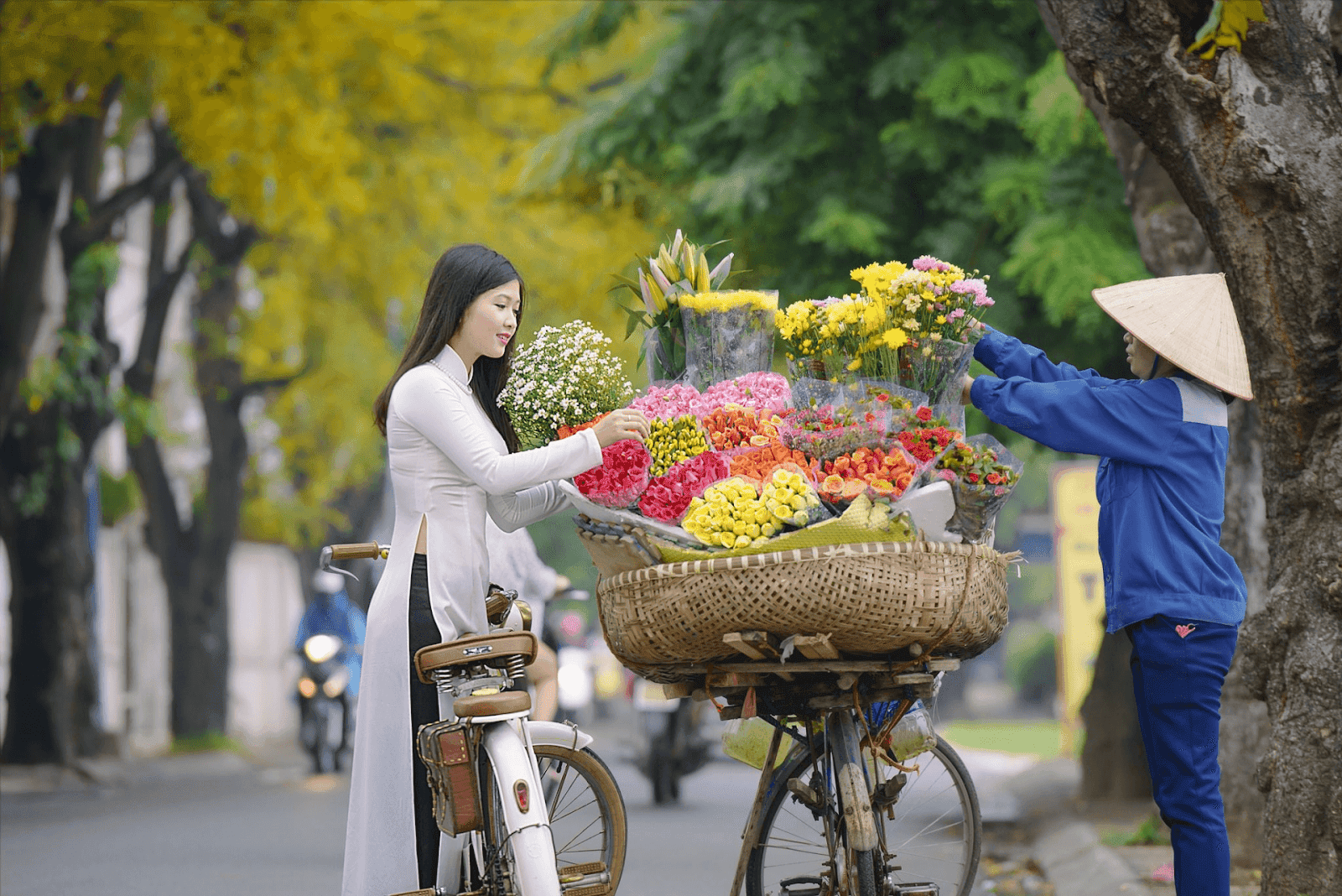 Những cơn gió nhẹ và ánh nắng ấm áp, tạo điều kiện thuận lợi cho việc tham quan.