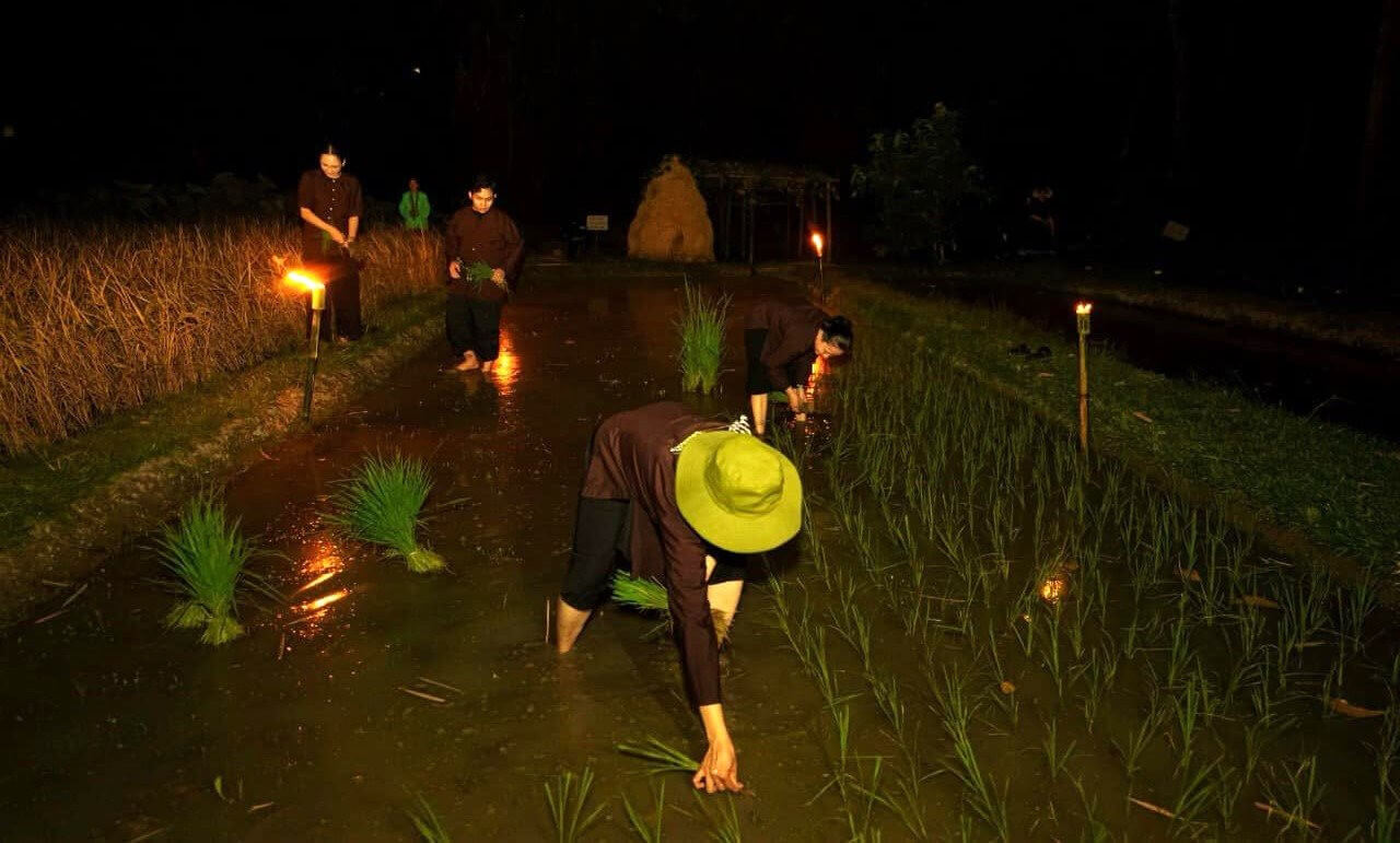 Tái hiện hình ảnh các cô gái cấy lúa đêm