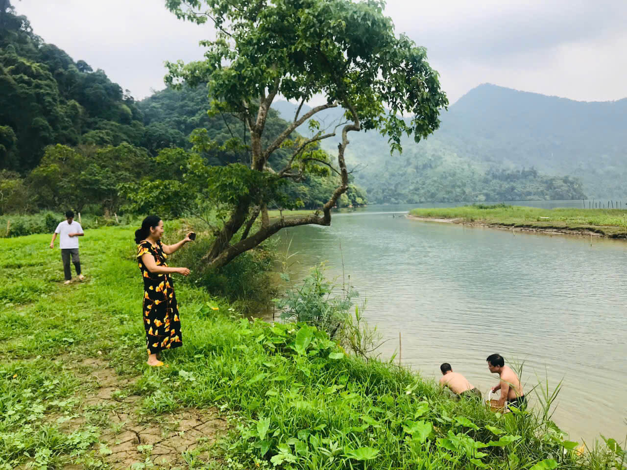 Du khách hái rau rừng, mò trai, trùng trục ngay trên hồ Ba Bể.