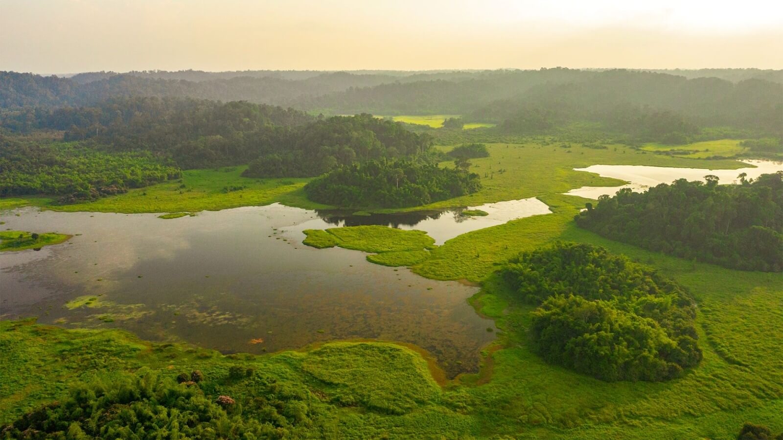Là khu rừng đất thấp ẩm ướt nhiệt đới, Cát Tiên được UNESCO công nhận là "Khu dự trữ sinh quyển thế giới".