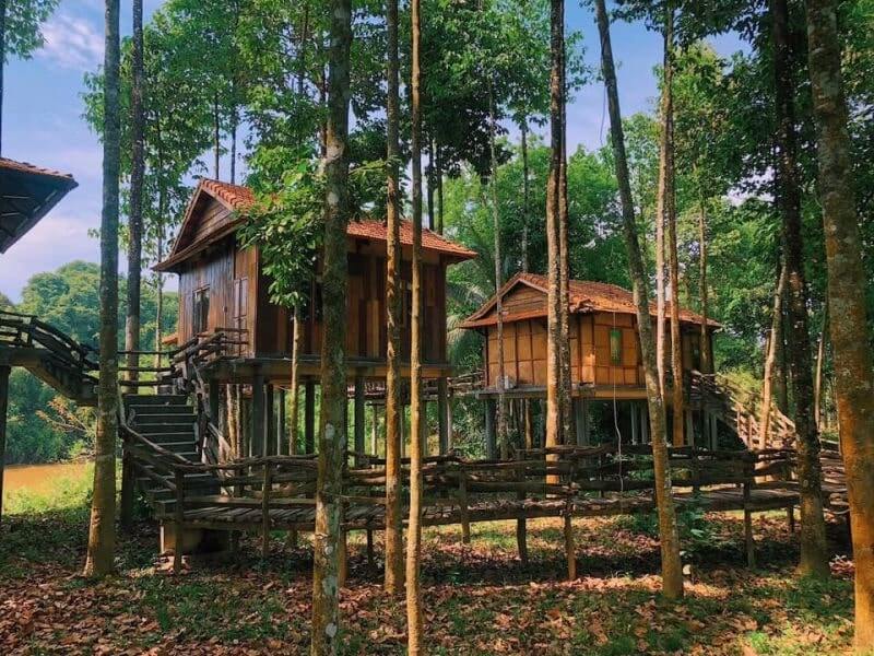 Thời điểm lý tưởng để tham quan Vườn quốc gia Cát Tiên là từ tháng 11 đến tháng 5 năm sau.