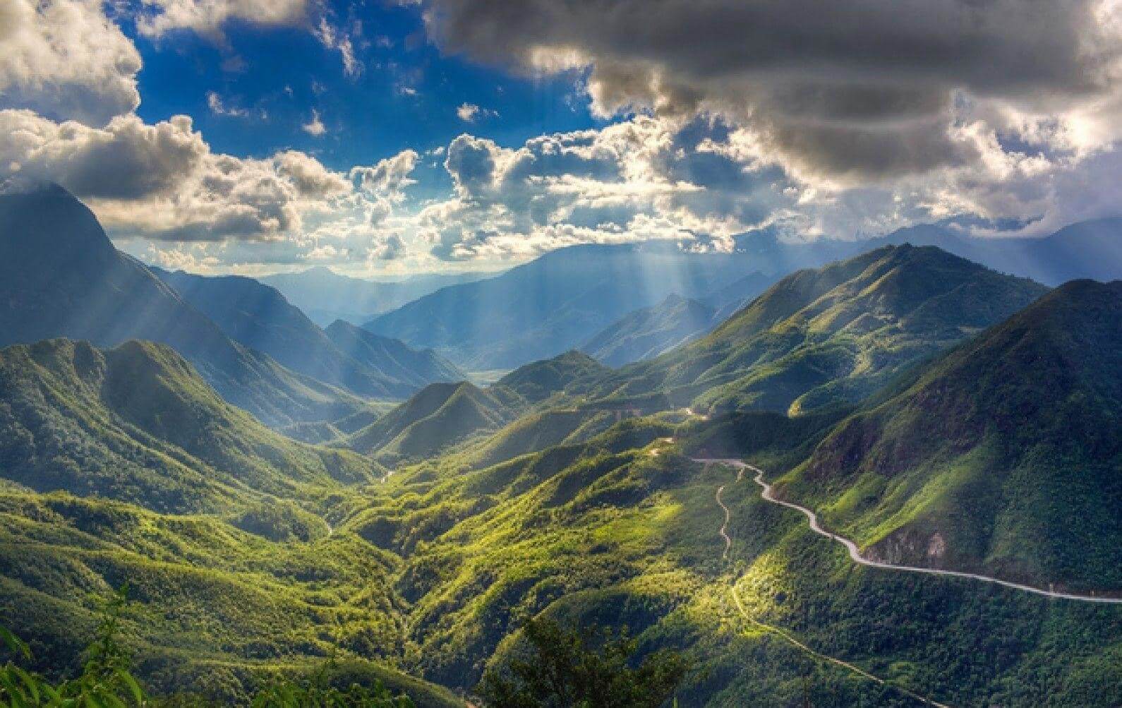 Ô Quy Hồ - một góc xanh tươi.