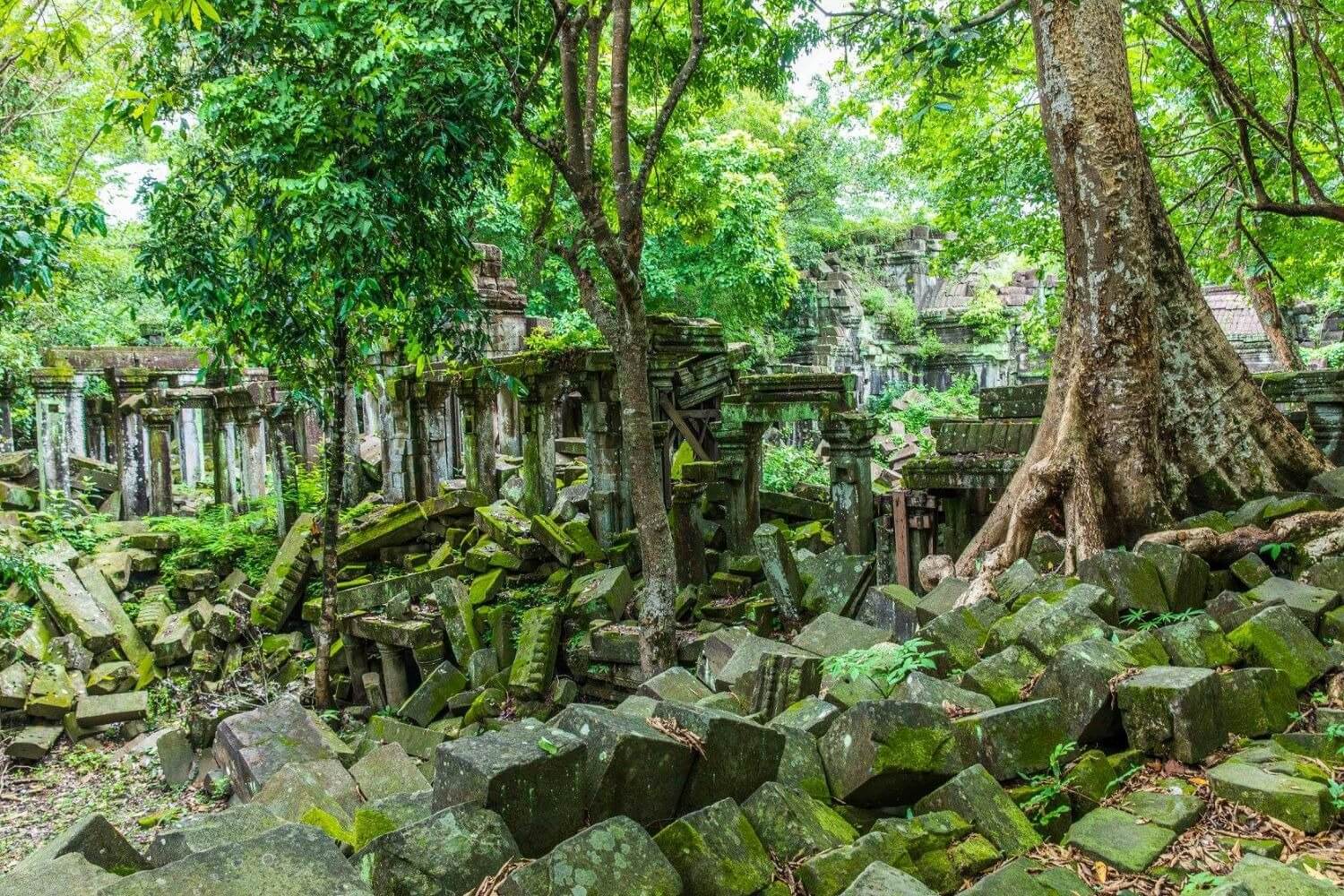 Đền Beng Mealea được xem là phiên bản của Angkor Wat, được các nhà khoa học Pháp phát hiện vào năm 1954. 