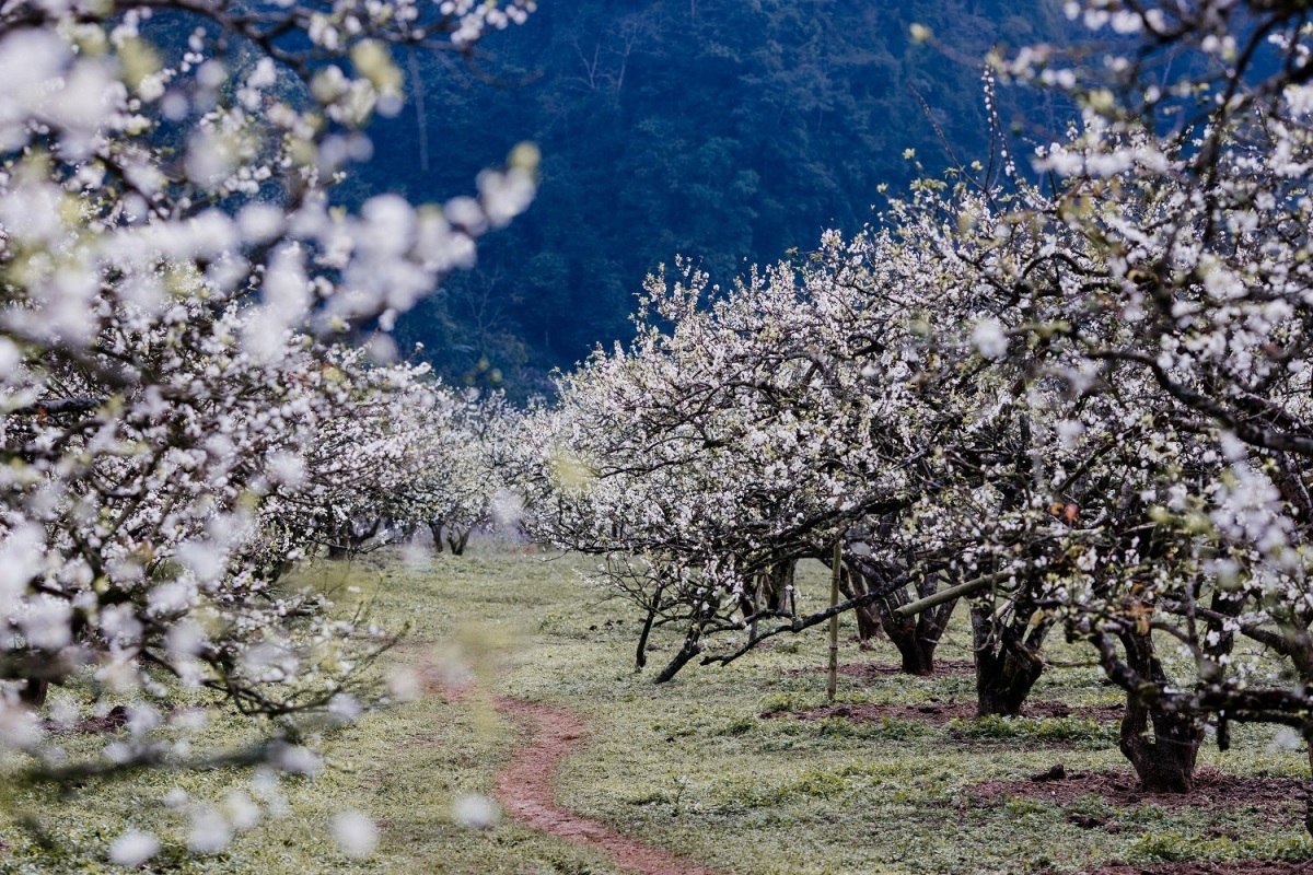 Hà Nam nhận giải kép là "Điểm đến văn hóa khu vực hàng đầu châu Á và Việt Nam"