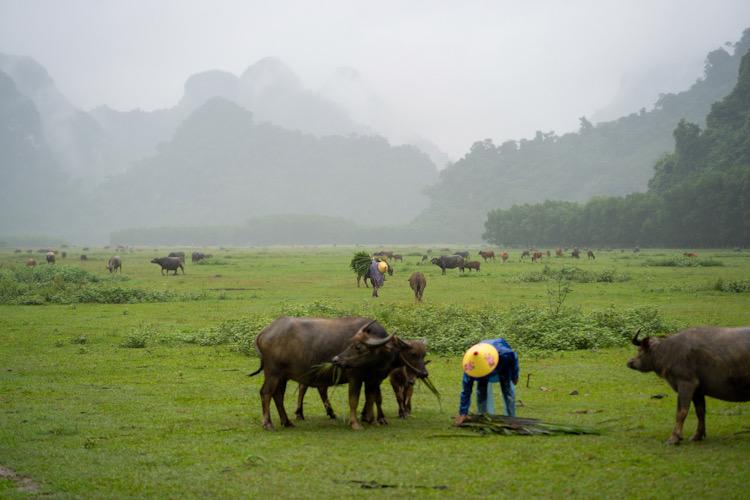 Làng Tân hoá với vẻ đẹp hoang sơ