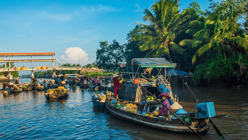 The Travel đánh giá Cần Thơ là một địa điểm tuyệt vời để khám phá vào mùa thu này.