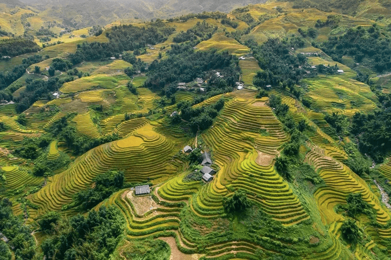 Sa Pa là một điểm đến hàng đầu châu Á không thể bỏ lỡ vào mùa thu.