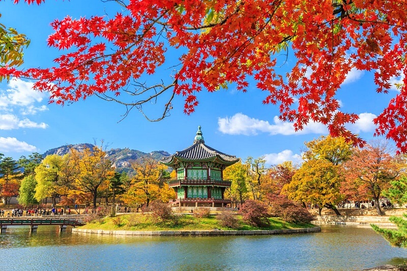 Thành phố Seoul mùa thu năm 2022 trong ống kính